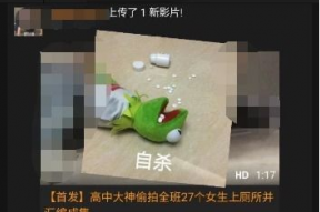 国产色情视频在线,暗流涌动的网络迷雾