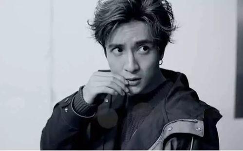 娱乐圈吃瓜熊猫胖胖,熊猫胖胖的吃瓜日常